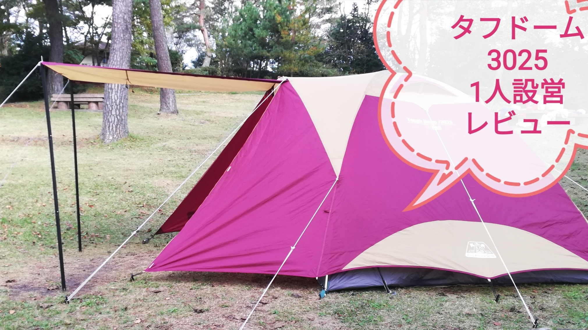 ファミリーキャンプのテントはコールマンがおすすめ！！3025をレビュー | キャンプとアクアと時々雑談