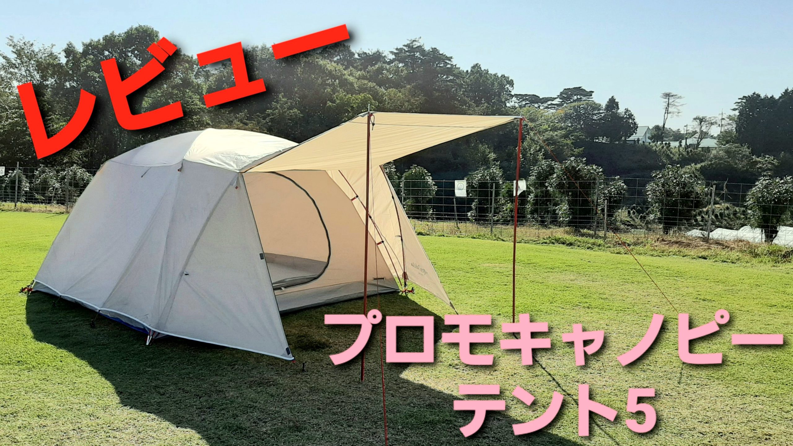 2021新商品 Motomoto ペグ チタン製 テント用 タープ用 30㎝ 16本 